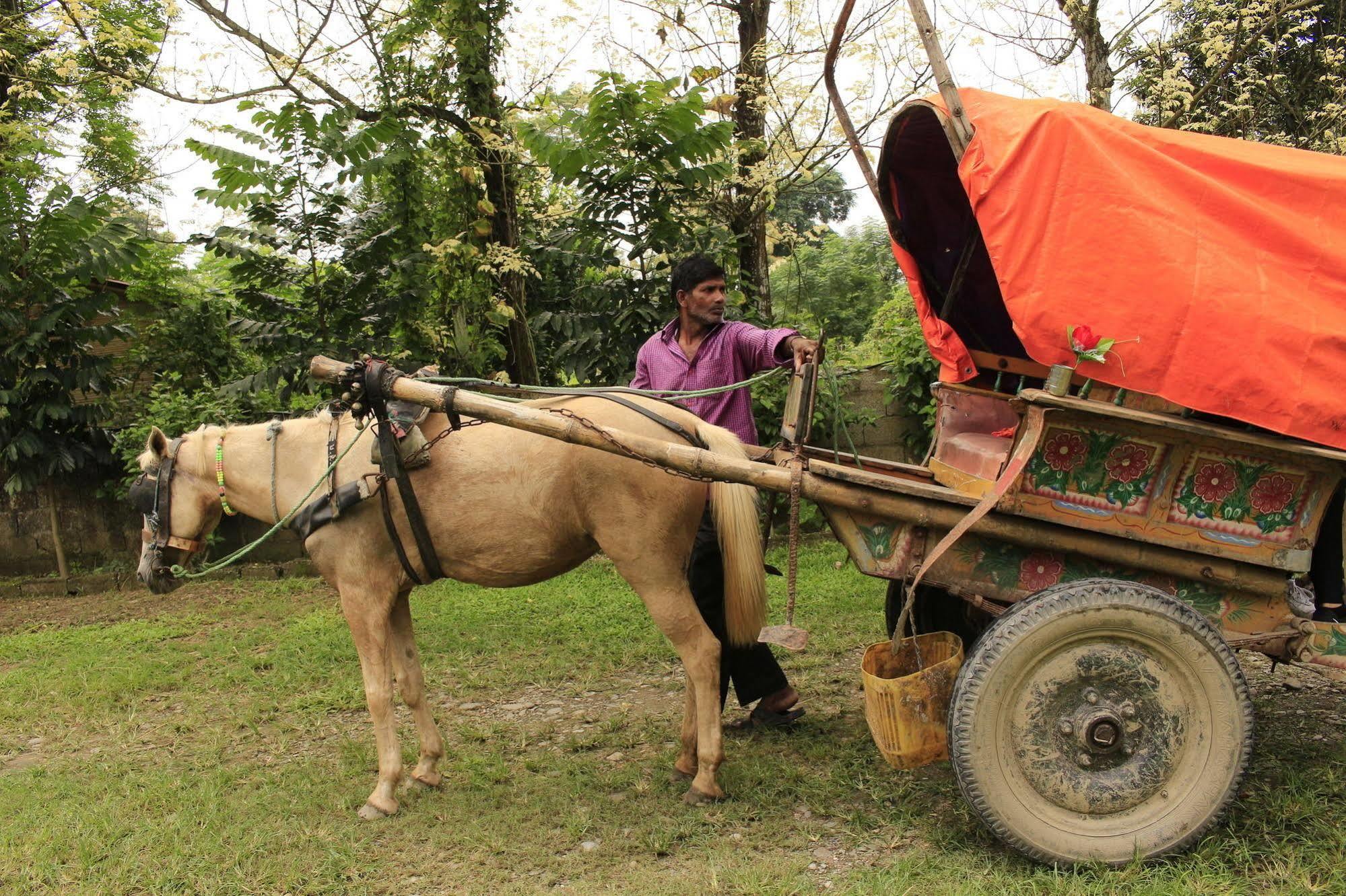 Chitwan Safari Camp & Lodge Sauraha Εξωτερικό φωτογραφία